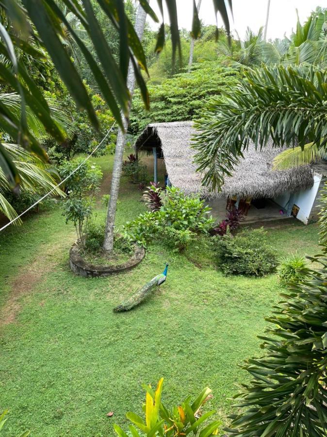 Hiru Villa Tangalle Kültér fotó
